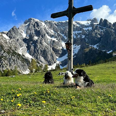 Apart Ursus Hinterthal Maria Alm am Steinernen Meer Eksteriør bilde