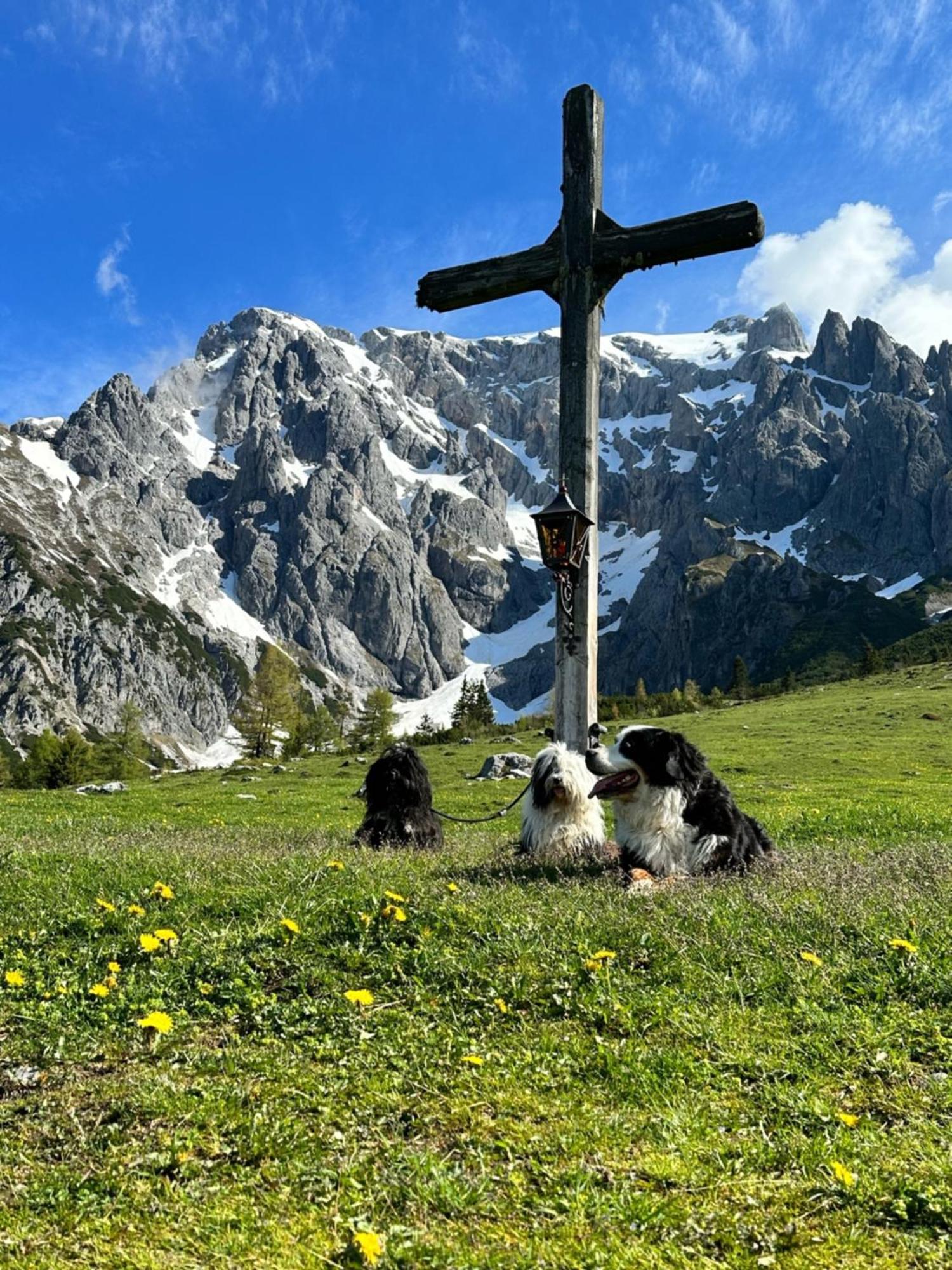 Apart Ursus Hinterthal Maria Alm am Steinernen Meer Eksteriør bilde